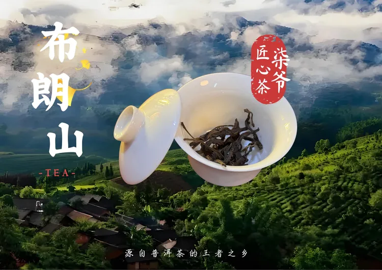 2014年茶气足布朗山散茶 普洱生茶送样泡