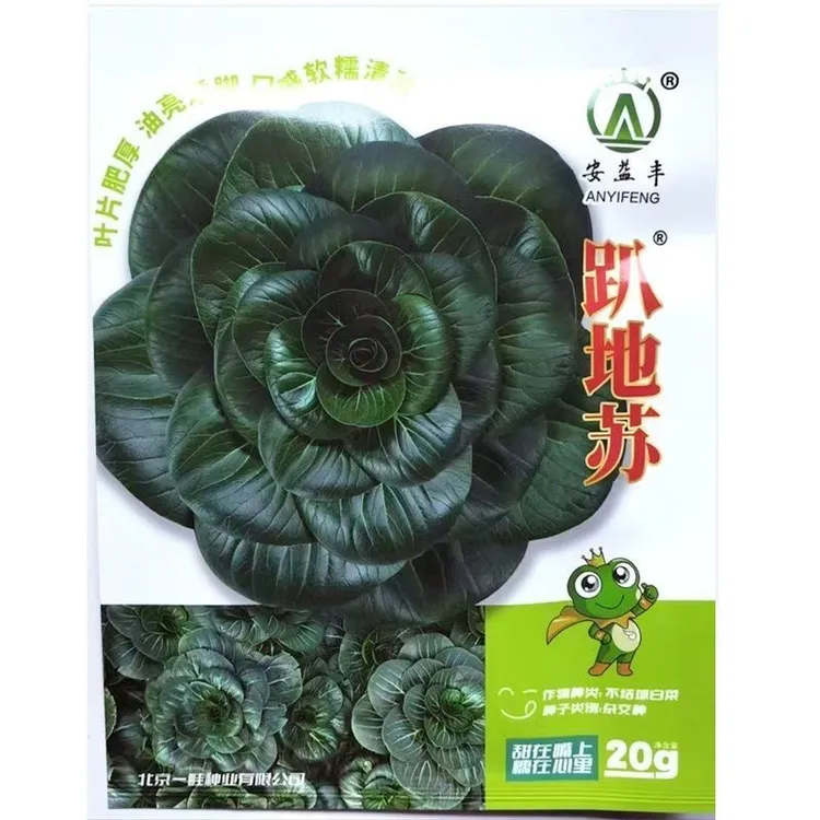 趴地苏口感软糯清甜矮脚叶片肥厚耐寒青菜种子