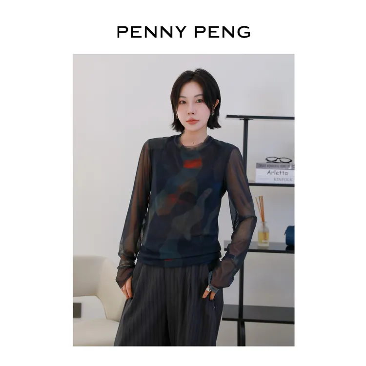 PENNYPENG 都市油画 复古百搭撞色设计感圆领网纱印花长袖打底T恤