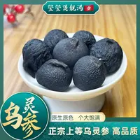 Y【莹莹精选】天然乌灵参/雷震子 大粒头精品靓货 煲汤/煲水  杂粮 