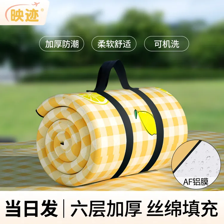 野餐垫加厚防潮垫超声波欧若风春游垫子户外露营垫帐篷露营地垫