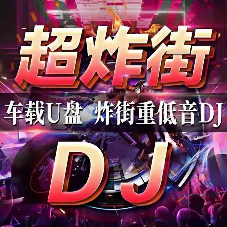网络流行伤感情歌DJ音乐 车载U盘 2025抖音网红催泪热歌高音质mp3