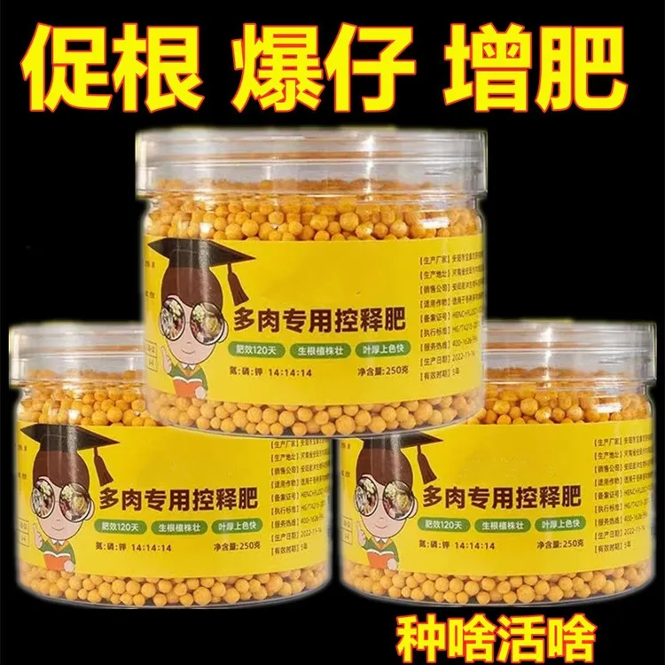 多肉肥料专用肥多肉控释肥爆盆增肥增色多肉营养液家用多肉专用肥