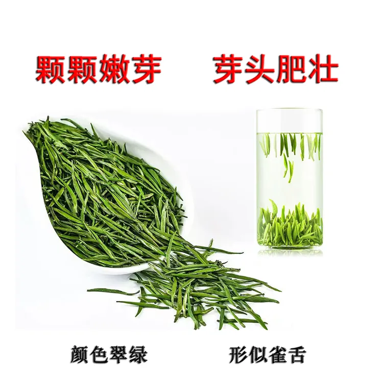 尊天福2025年雀舌全芽明前嫩芽新茶罐装实心翠绿明前雀舌茶