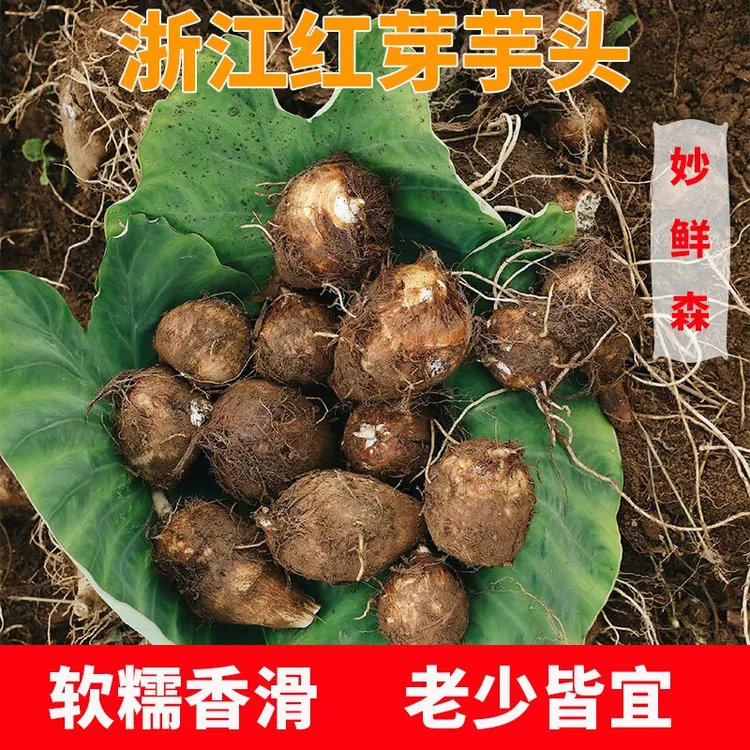 金华红芽芋艿新鲜现挖软糯毛芋头香芋小芋头红芋艿5/3/1斤芋头