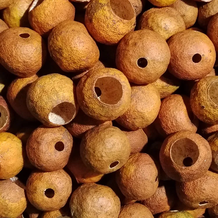 浦北龙门2025年自然晒干大红柑壳