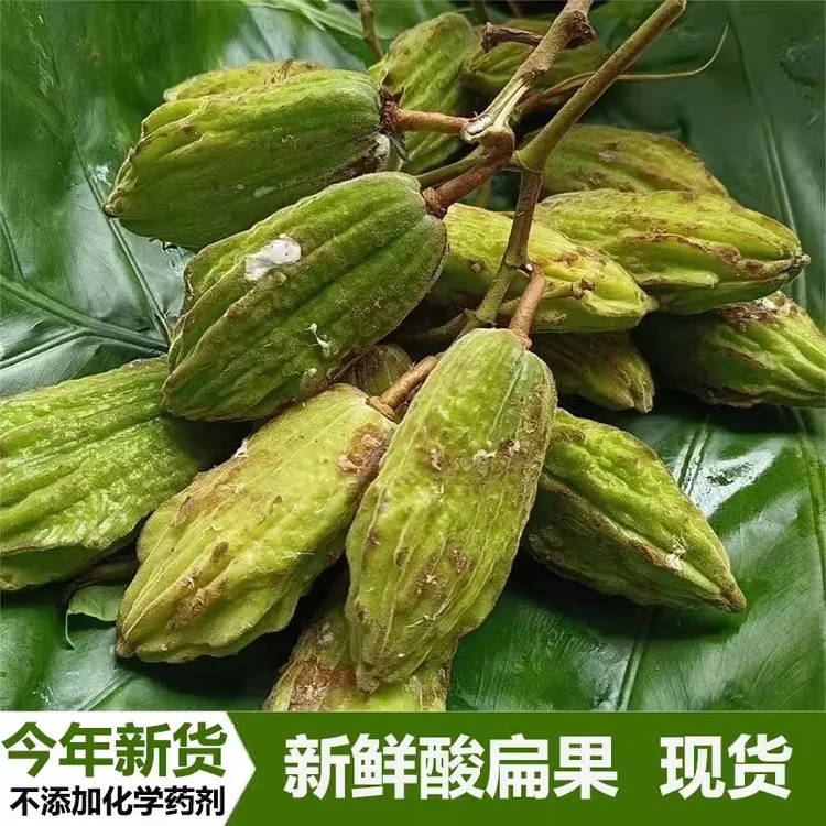 云南特产新鲜野生酸扁果可蘸辣椒面吃的美味水果（外表不漂亮）