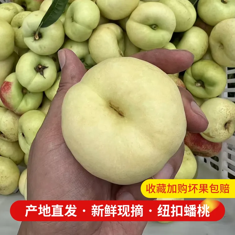 湖北荆门本地奶油蟠桃孕妇应季水果新鲜桃子时令生鲜大果当季鲜果