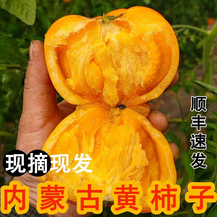 内蒙古沙瓤黄柿子味道浓郁酸甜口感沙瓤多汁