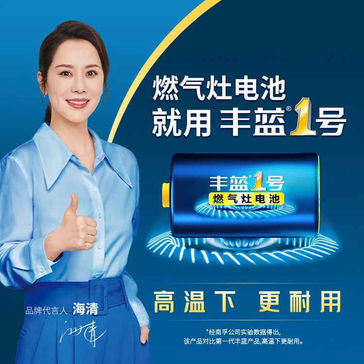 南孚【燃气灶专用】丰蓝1号大号一号电池厨房煤气燃气灶热水器碳性