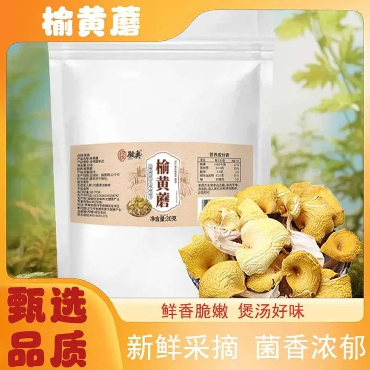 当季新货东北榆黄蘑干货蘑菇干黄蘑菇玉皇蘑鸡油菌野生蘑菇东北产