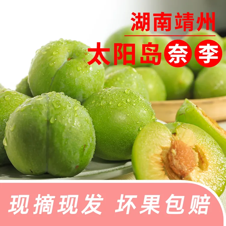 【奈李-顺丰包邮】湖南靖州太阳岛现摘现发新鲜脆甜多汁5斤/9斤包邮