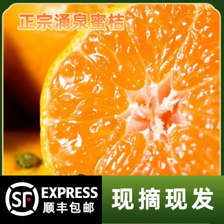 【临海正宗高山老树】正宗涌泉蜜桔·新鲜采摘·整箱10斤装