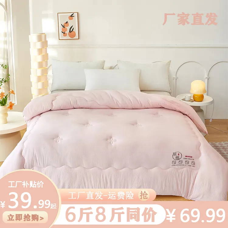 原棉秋冬被冬被被子秋冬款学生宿舍专用被子四季通用被子被芯