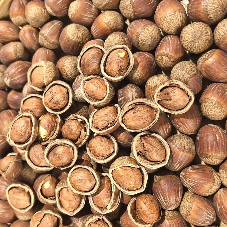 25年东北大榛子达维榛子现炒现发