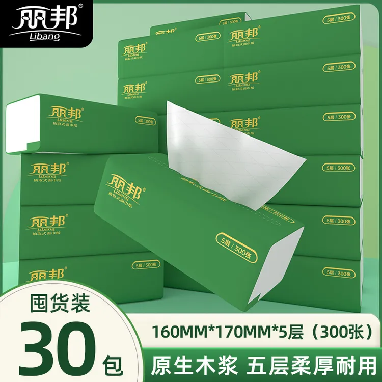 丽邦5层柔厚抽纸300张30大包家用便携纸巾一次性吸水纸抽