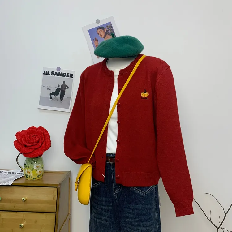 秋冬气质针织南瓜INS风常规薄款秋冬季宽松型圆领刺绣毛针织衫