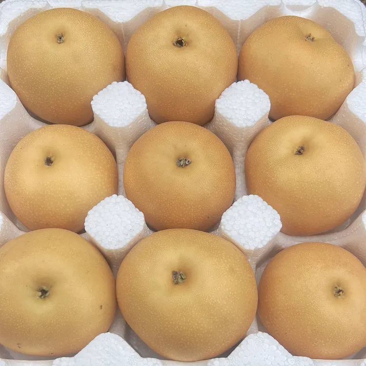 自家玻璃果园秋月梨，脆甜，渣少红山果手势舞北海舰队