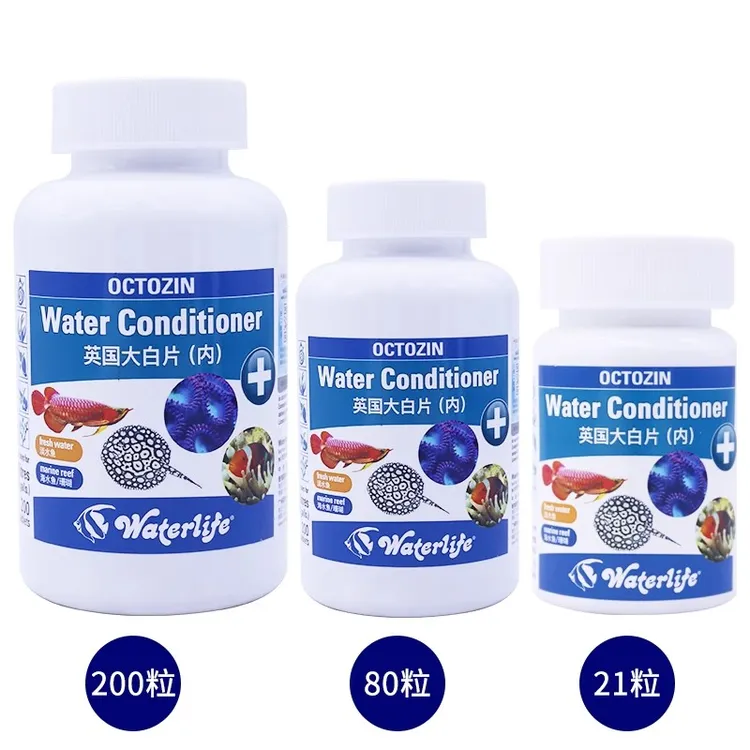 英国正品大白片水族内外寄龙鱼雷龙内外寄趴缸头洞厌食水族调理