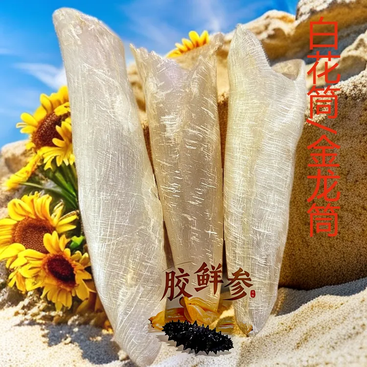【高频低价】白花鱼胶花胶筒金龙筒备孕产女人胶营养滋补奶冻炖汤