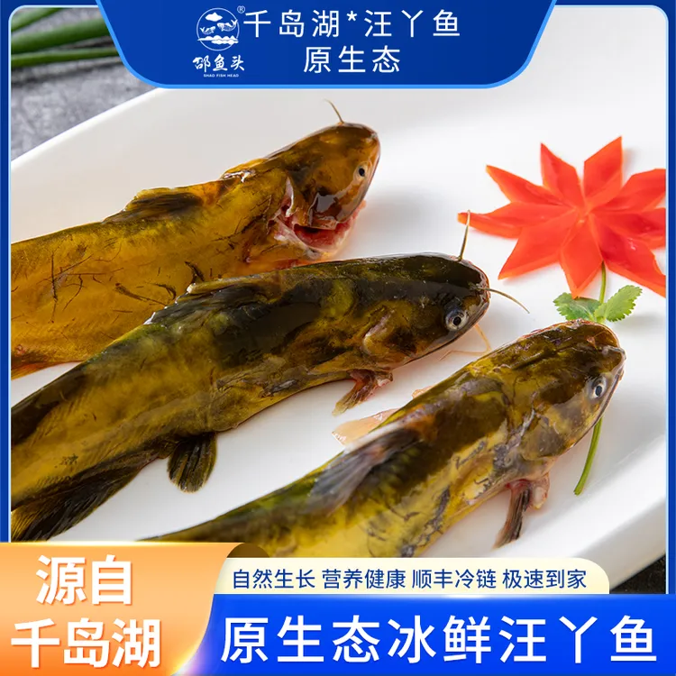 邵鱼头千岛湖冰鲜汪丫鱼鲜活速冻野生黄颡鱼肉质细嫩刺少产地直发