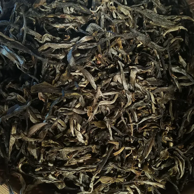 2025年云南普洱生茶散茶/晒青毛茶（中树）