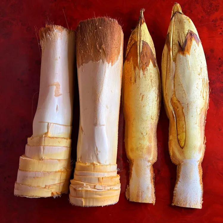 现剥新鲜野生纯天然带皮棕苞米棕榈树嫩芯甜棕包树心山棕树笋