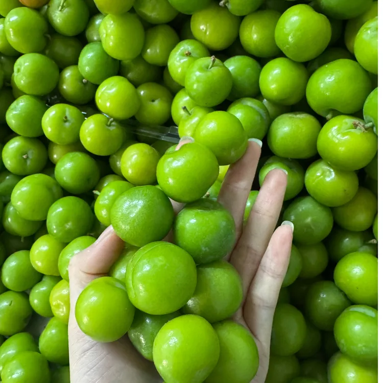 三月李脆李新鲜水果孕妇水果酸爽可口送辣椒盐包邮