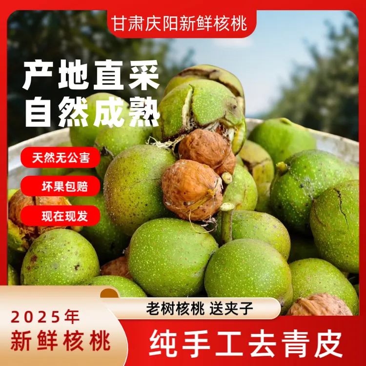 正宗甘肃老树核桃去皮新鲜核桃湿核桃
