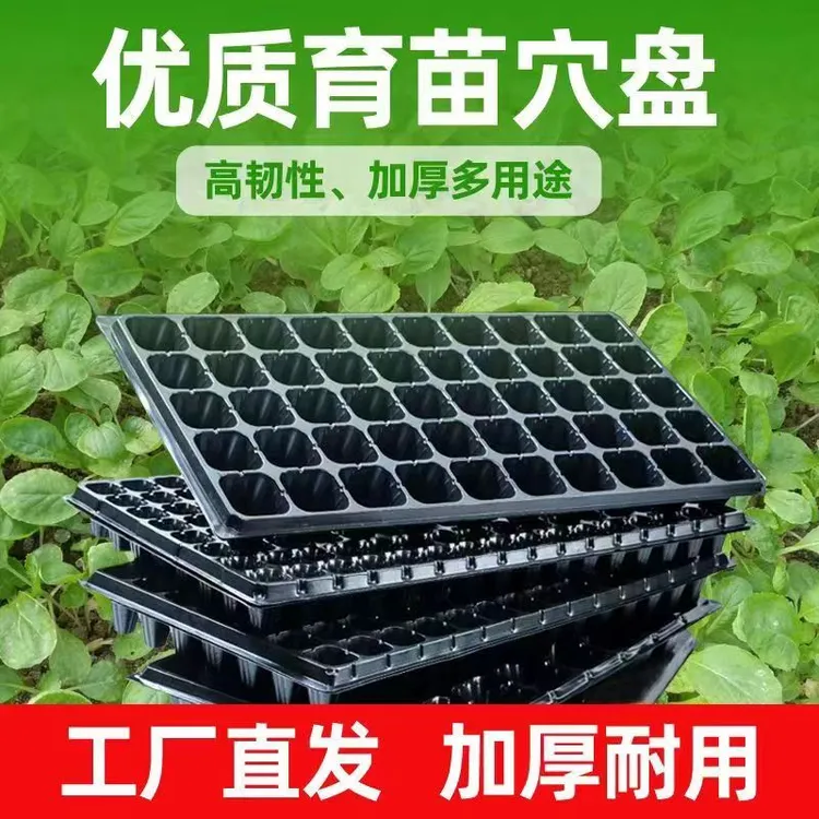 育苗盘种菜盘营养钵扦插盘秧苗玉米蔬菜多肉草莓穴盘加厚