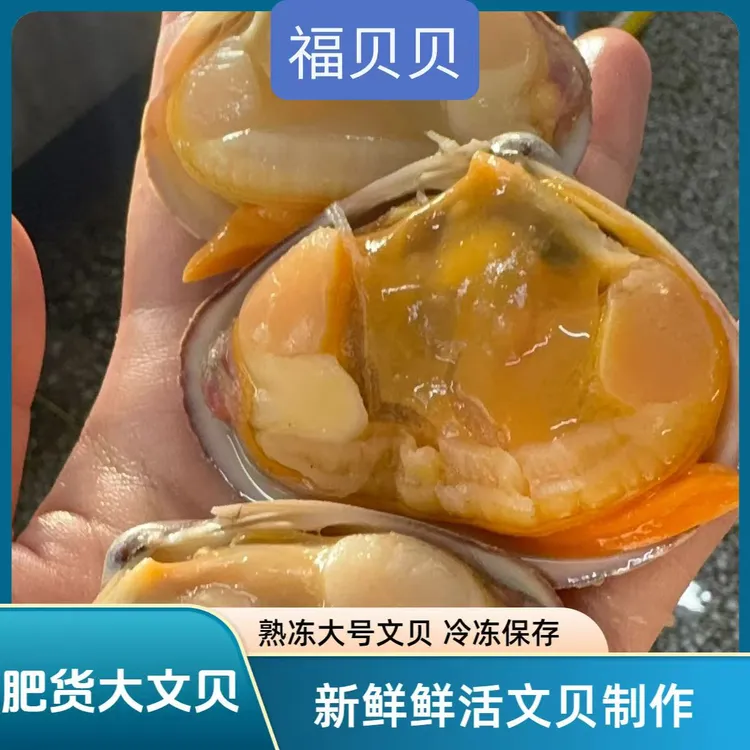 【新货文贝】熟的4袋大文贝400g/袋送1包黄蚬子冷冻保存