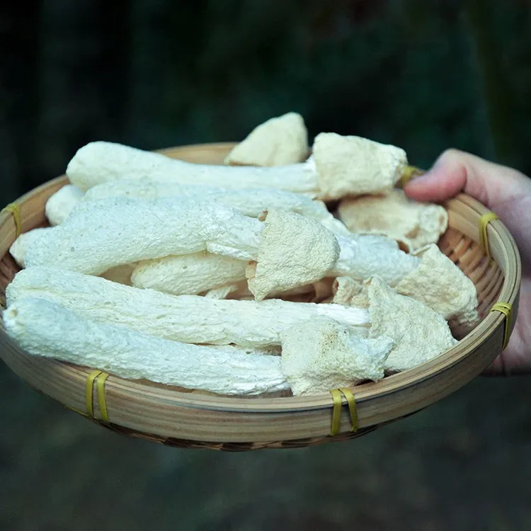 【露思同款】古田菇蕾竹荪无硫新货竹笙干货煲汤火锅食材未开伞