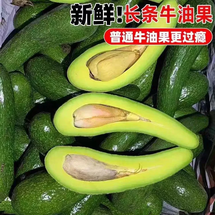 长条牛油果水果新鲜现摘哈斯鳄梨牛油果鳄梨宝宝当季孕妇水果包邮