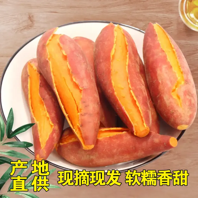 正宗黄心蜜薯新鲜现挖软糯香甜沙地种植地瓜番薯