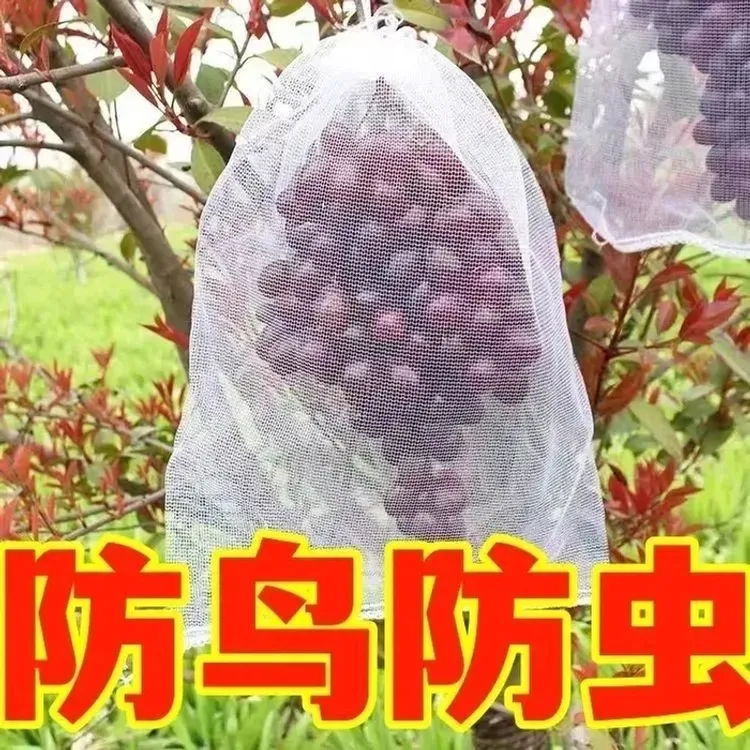 自带抽绳葡萄水果套袋防鸟防雨防虫网袋瓜果无花果枇杷透气专用袋