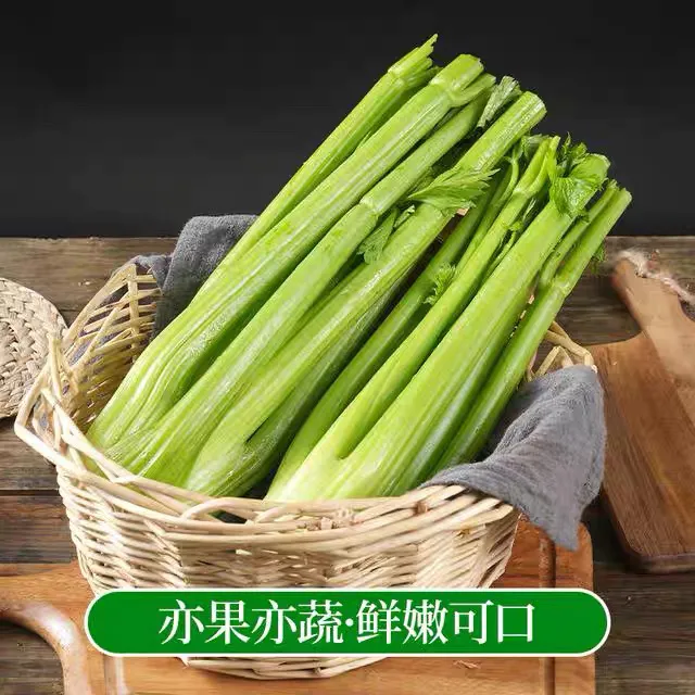 山东寿光有机种植去叶西芹榨汁脆嫩多汁3/5斤装西芹现挖现发