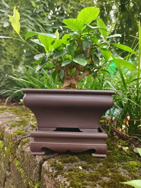 树脂四方花盆加厚大号中号小号多肉绿植盆景专用厂家直销批发花盆