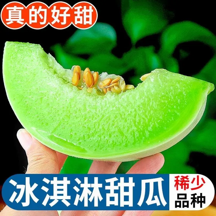 海南玉菇冰淇淋甜瓜软糯香甜当季新鲜水果2.5-9斤头茬鲜蜜瓜香瓜