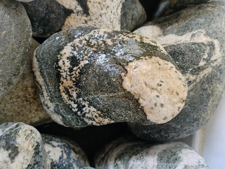 花园精美点缀可顺机发货