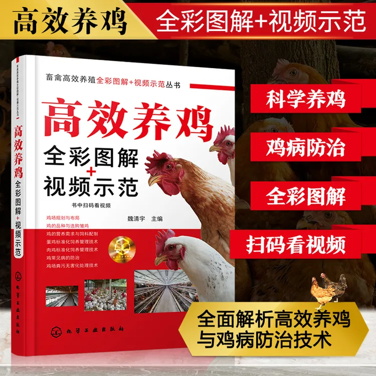 高效养鸡全彩图解 畜禽高效养殖全彩图解 科学高效养鸡 书籍