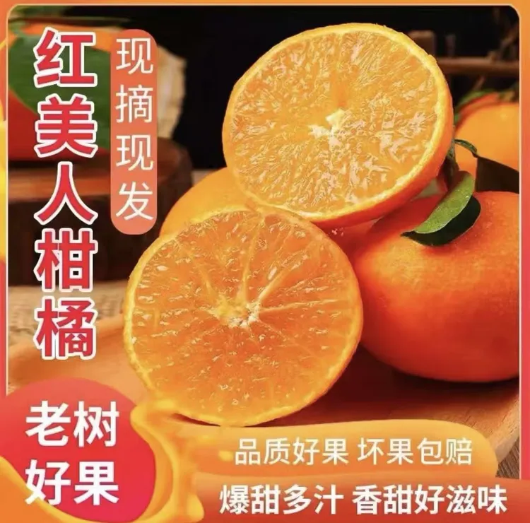 【红美人】爱媛果冻爱媛新鲜水果解渴天志果冻爱媛果冻橙10斤一箱