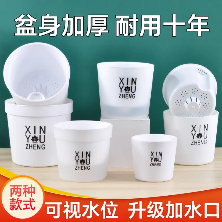 直口加厚懒人自吸水花盆 网红款吊兰铜钱草绿萝桌面阳台挂式花盆