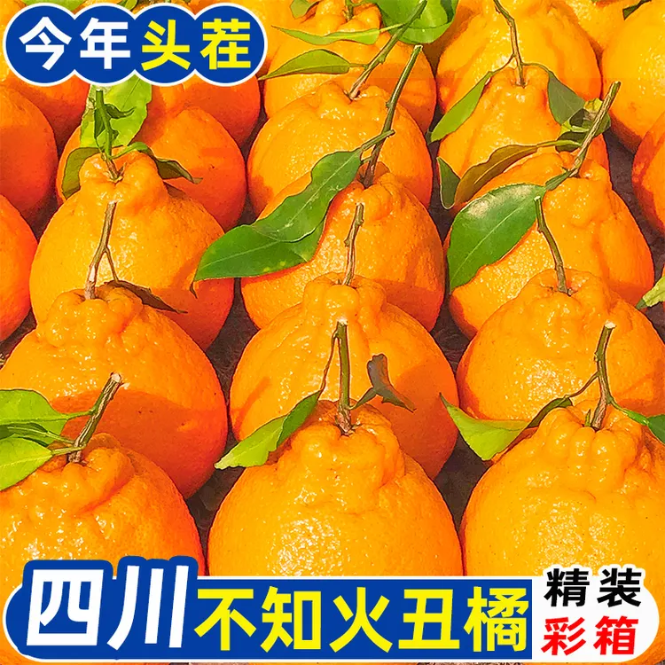  【彩箱】四川不知火丑橘正宗丑八怪橘子应季水果柑橘礼盒整箱批发
