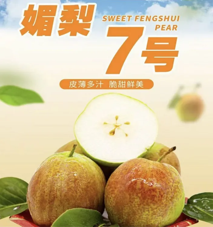 媚梨7号皮薄肉厚脆甜多汁产地直发坏果包赔A