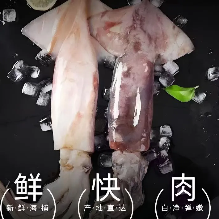 【厂家直发】新鲜海捕整条原浆大鱿鱼3斤送2斤到手五斤（约3-4条）