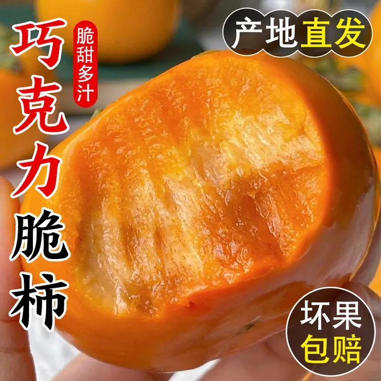 巧克力脆甜柿子正宗恭城硬皮大柿子新鲜现摘太秋应季产地果园直供