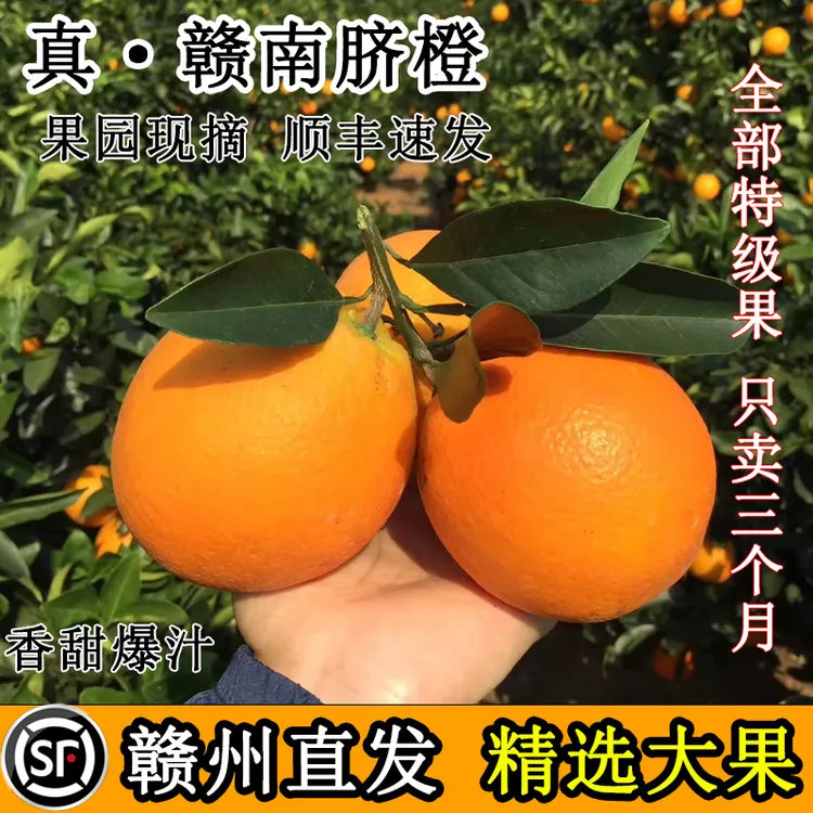 江西赣南脐橙正宗宁都脐橙新鲜现摘应季香甜多汁水果产地直发顺丰