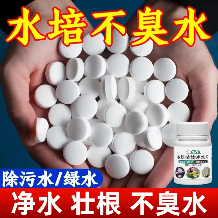 CPAI水培植物净水片鲜花花卉保鲜剂不臭水碗莲专用消毒片净化水质