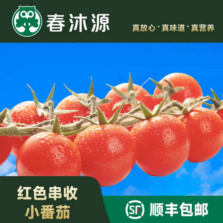 【春沐源】高原樱桃红色串收小番茄198g4盒装  458g2盒装