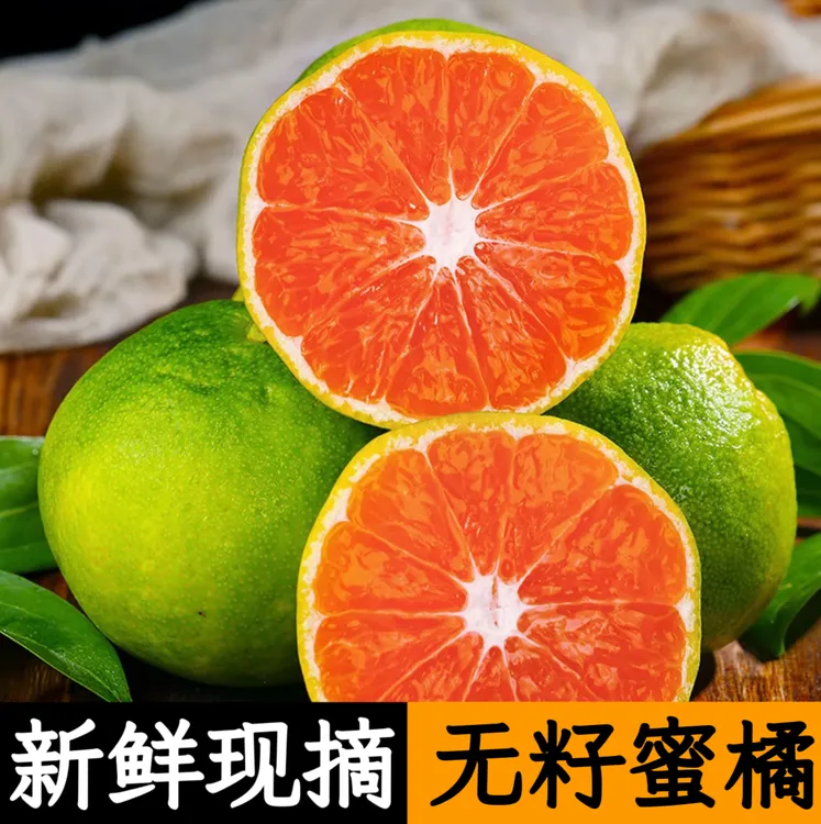 【每日现摘】湖北宜昌青皮蜜橘早熟清甜多汁新鲜皮薄
